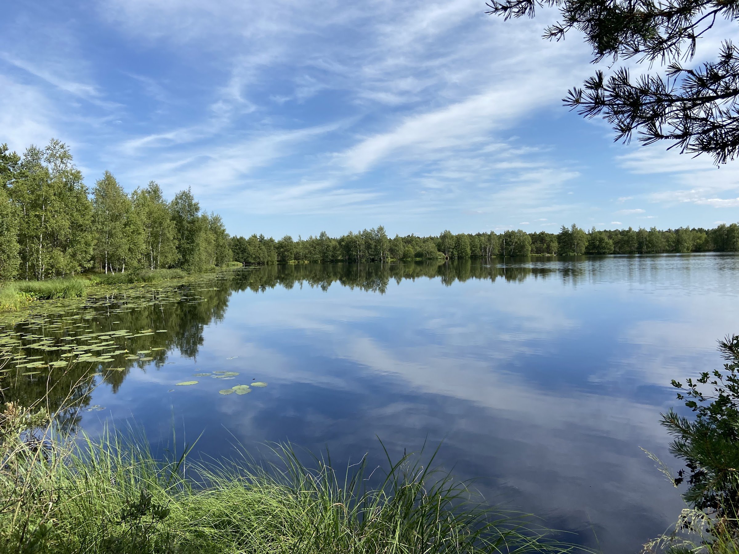 Mūšos Tyrelis Educational Trail